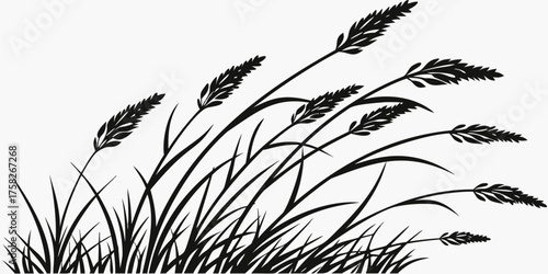 Grass silhouette, a black and white drawing of wild reeds and tall plants swaying in the wind. Monochrome graphic of meadow flora, creating a simple natural border or decorative element.
