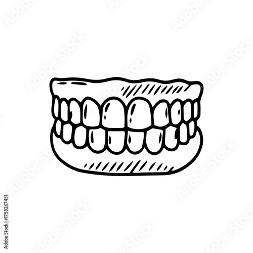 Sketch of the jaw. Dentures, jaw prostheses. Complete restoration of teeth. Vector illustration.