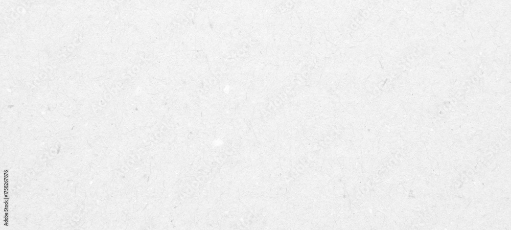 Obraz premium White recycle craft paper cardboard surface texture background