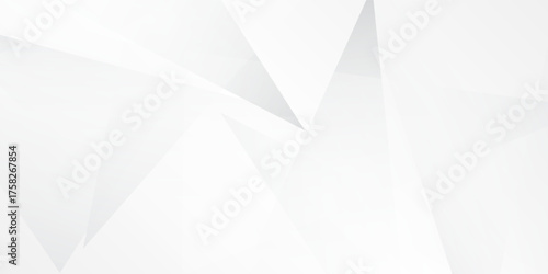 Modern white and gray modern background. Vector Illustration abstract