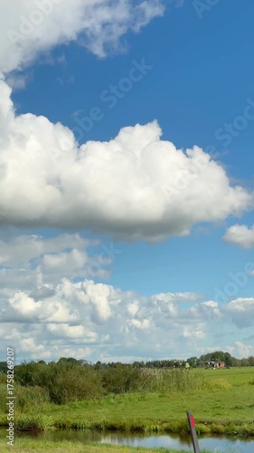 First person view, shot from moving car of a rural area with a field and cows. Vertical footage.