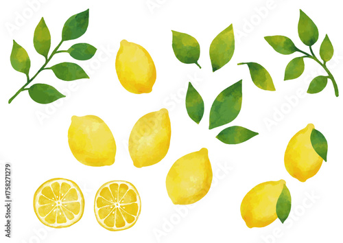 水彩風 レモンのイラストセット（葉っぱ付きあり）Winter Fruits Series:Watercolor lemon illustration set (with leaves)