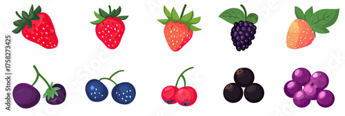 Cartoon vector collection of various fresh berries including strawberry, blackberry, cherry, blueberry, black currant, and grape isolated on white background in flat minimalist style