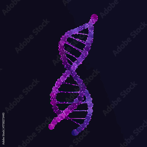 Low poly purple DNA double helix structure with geometric polygonal connections on dark background in minimalist vector style for science and genetics concept illustration