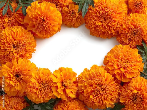 Orange Marigold Flower Frame | Isolated on White Background with Space for Text or Photo | Day of the Dead Decorative and Graphic Design Element