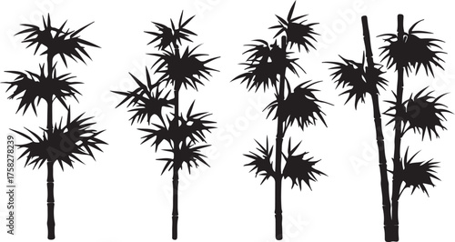 Collection of Black Silhouettes of Bamboo Stalks with Spiky Leaves Against a White Background plant leaf also transparent background