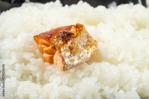 Plakat ぼだっこ弁当 鮭弁
