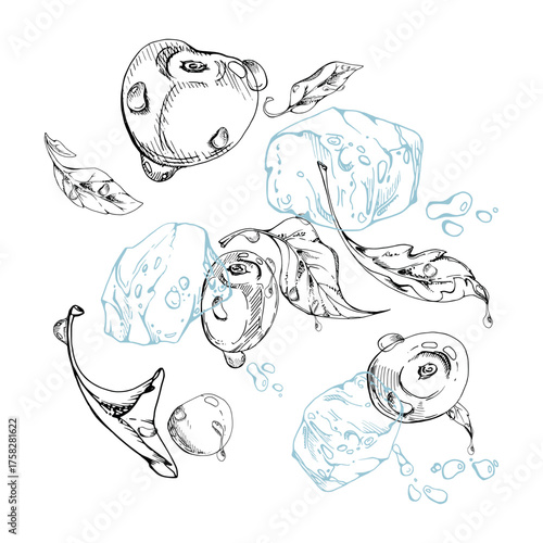 Sweet sour cherry cerise flying in water splashes drops, ice cubes hand drawn vector ink, ripe line garden berry and leaves. Isolated illustration. Restaurant cafe menu, farmers market, wedding