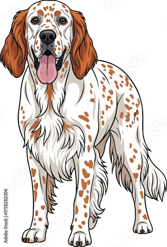 English Setter dog standing panting facing front vector illustration