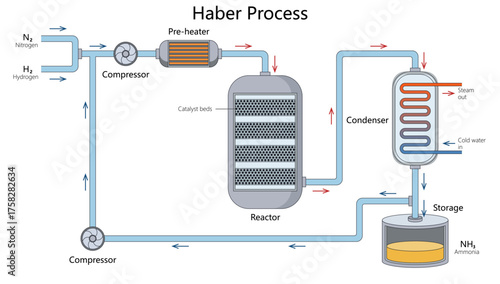 Haber process showing how nitrogen and hydrogen are converted into ammonia using heat, pressure, and catalysts diagram hand drawn schematic vector. Science educational illustration