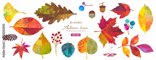 秋の紅葉した、森の自然素材イラストセット。紅葉やどんぐりなどの木の実。カラフルなペインティングテクスチャのイラスト。（ベクター）