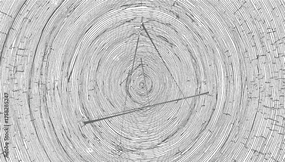 Fototapeta premium Concentric rings and intersecting lines wood grain