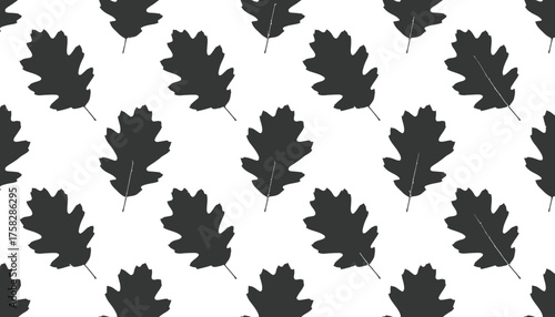 Pattern of stylized oak leaves on white background. Simple and repetitive design