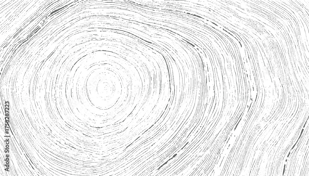 Fototapeta premium Abstract concentric lines texture background black