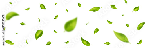 Green flying leaves frame. Leaf falling on long white banner. Wave foliage ornament. Vegan, eco, organic design. Cosmetic pattern border. Fresh tea background. Beauty product. Vector illustration