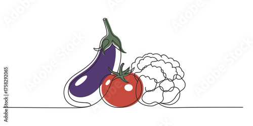 Minimalist continuous single line drawing of an eggplant tomato and cauliflower art vegetable illustration line art sketch aesthetic vector