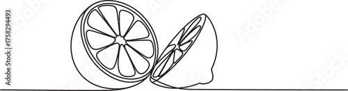Continuous single line drawing sketch of a halved lemon and a lemon wedge artfully arranged for a refreshing visual experience vector