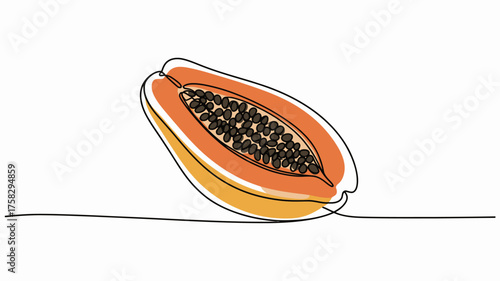 Elegant continuous single line drawing of a fresh papaya half showing seeds and vibrant orange flesh vector