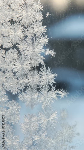 Wallpaper Mural Delicate Frost Forming Snowflake Patterns on a Cold Window Torontodigital.ca