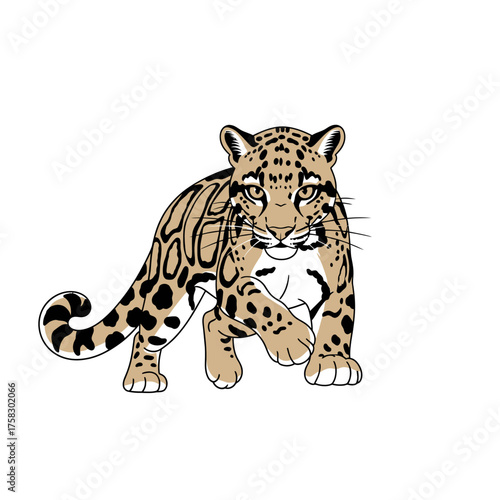 Minimalist clouded leopard character with a stealthy look preparing for a playful pounce in a modern style