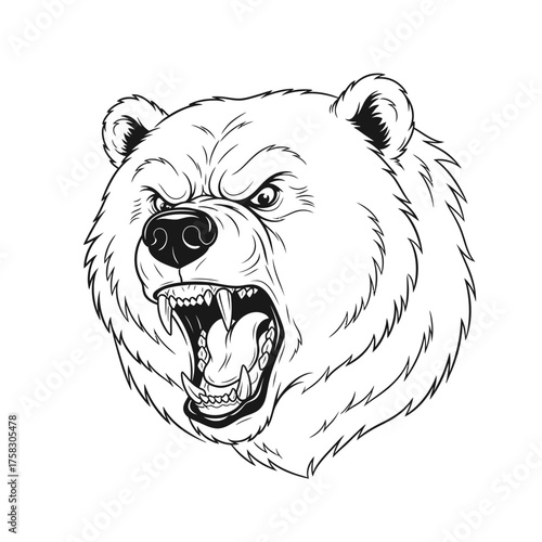 Aggressive grizzly bear character headshot snarling fiercely in a clean monochrome line art illustration