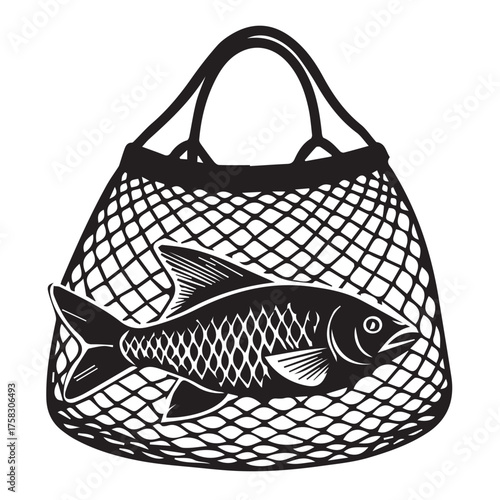 fish on a white background