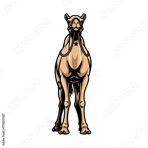 Brave dromedary camel character standing firm with a star symbol in a bold, stylized graphic art design