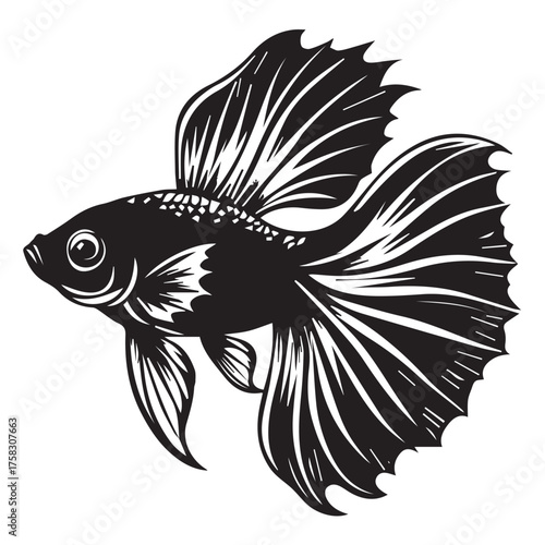 vector illustration of fish