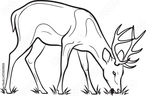Outline Illustration of a Wild Buck Grazing on Grass