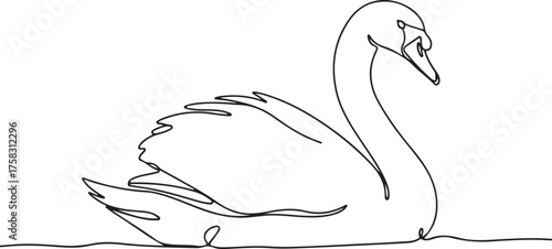 Elegant Swan Continuous Line Art Drawing