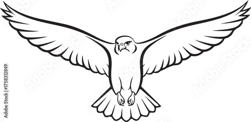 Stylized Black and White Line Art of a Flying Falcon with Spread Wings
