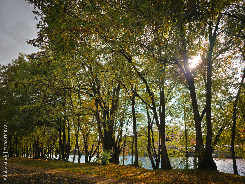 Naklejka premium Along the riverside path, soft light falls through the tree-lined avenue onto the foliage and water, creating a peaceful scene. Small park behind the East Side Gallery with a view of the Spree, Berlin