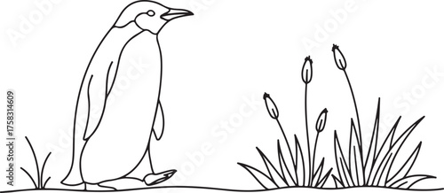Penguin and Wetland Plants Line Art Illustration