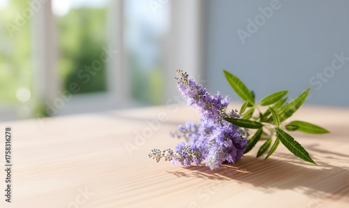 fresh Vitex agnus-castus (Chaste Tree) flowers and leaves arranged naturally on a light oak wood table in a minimal laboratory setting