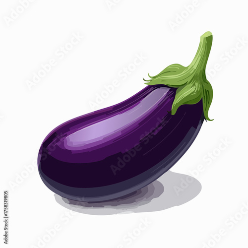 A single plump eggplant with deep purple tones and a green stem resting horizontally.