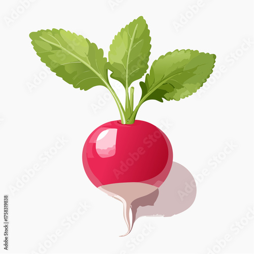 A smooth red radish with leafy green stems resting delicately against a blank white surface.