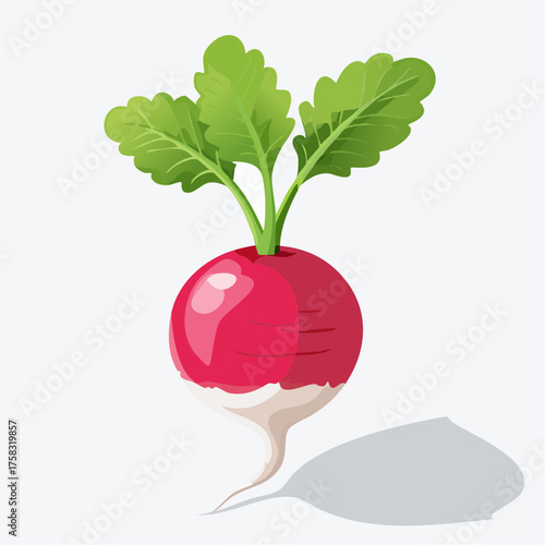 A smooth red radish with leafy green stems resting delicately against a blank white surface.