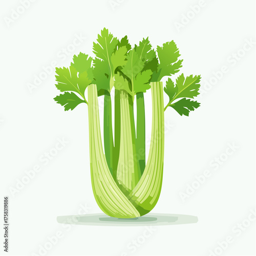 A fresh celery stalk with vivid green stems and tightly packed leaves resting gracefully.
