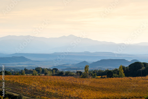 Sunset over the vineyards of La Rioja creating layered silhouettes of mountains and fields in golden light expressing the quiet atmosphere and environmental beauty of Spain’s autumn 