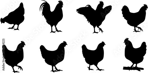 Chicken silhouette vector icon set showing various hen and rooster poses and farm animals