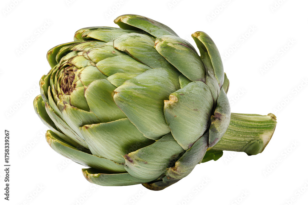 Obraz premium artichoke fruit isolated on white or transparent png