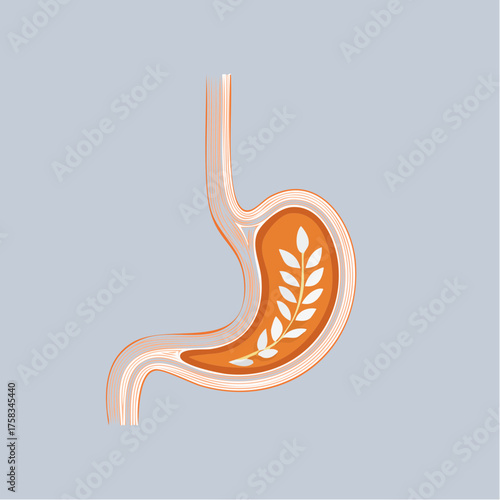 Stomach wellness with natural remedies and healthy plant-based digestion