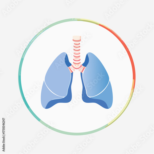 Vector illustration representing human lungs, essential for respiratory health
