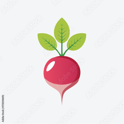 Vibrant radish vegetable illustration with fresh green leaves for healthy living