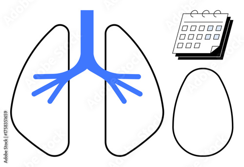 Stylized human lungs with blue bronchial branches, a calendar icon indicating scheduling, and a capsule outline for medical context. Ideal for healthcare, respiratory health, medication