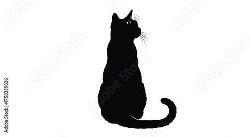 Silhouette of a black cat sitting looking back