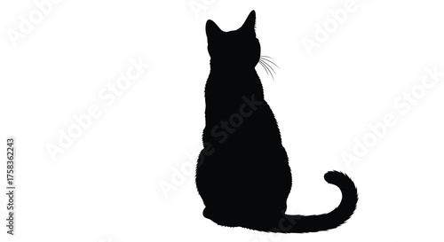 Silhouette of a black cat sitting upright