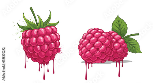 Fresh red raspberries dripping sweet juice on a white background