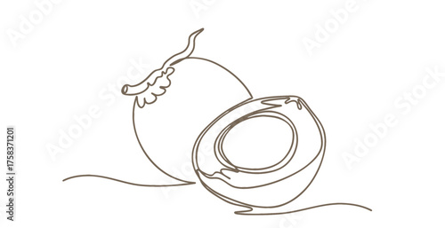 Line art coconut fruit