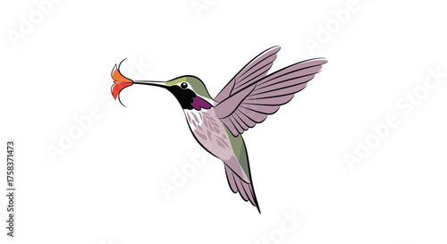A tiny hummingbird hovers in the air with its long beak collecting nectar from a small orange flower.